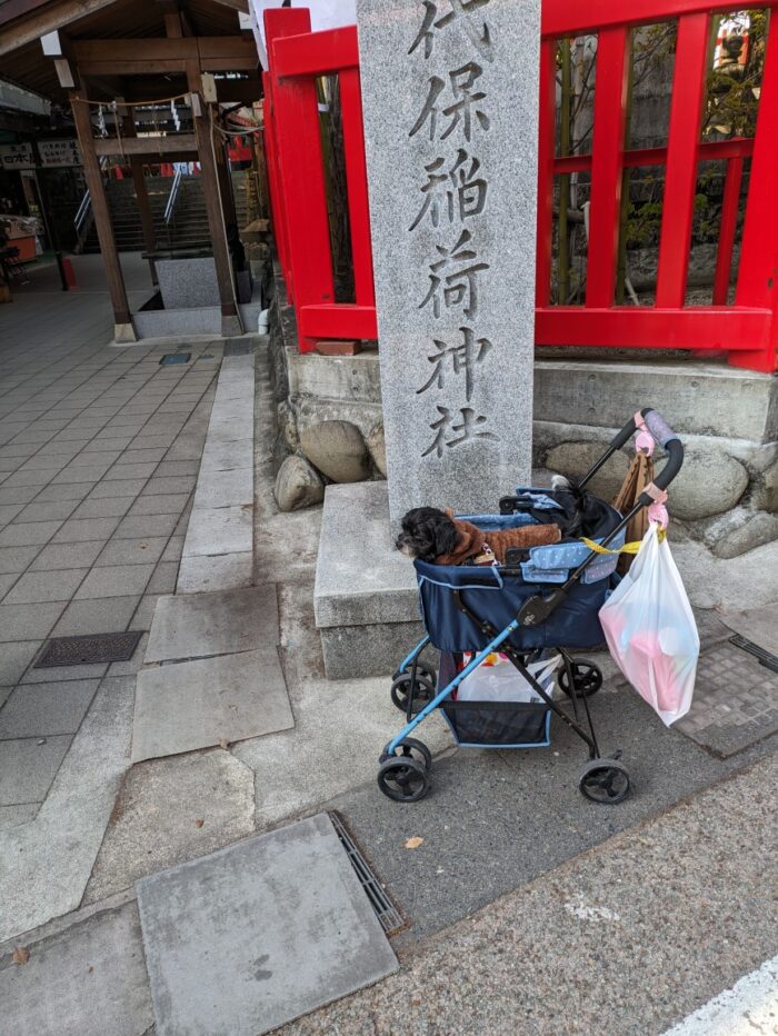 両親・叔母・愛犬とおちょぼ稲荷へ参拝